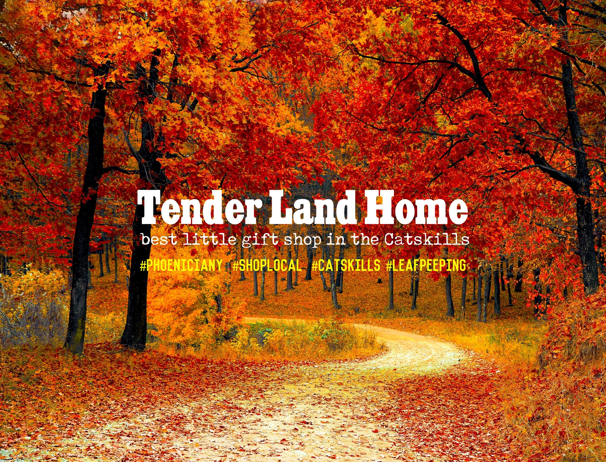 Tender Land Home Unique Gifts and Accessories Shop located in